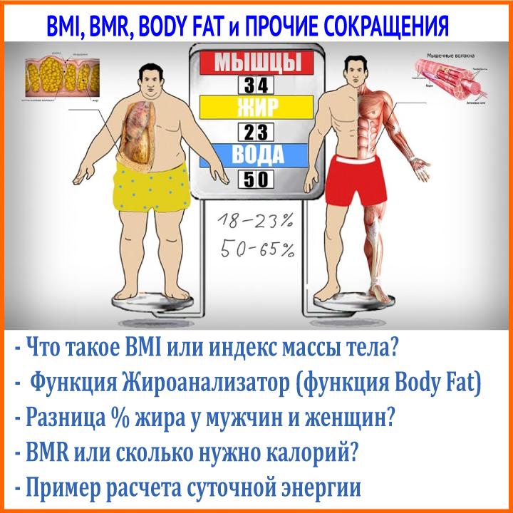 Что такое BMI, BMR, FAT