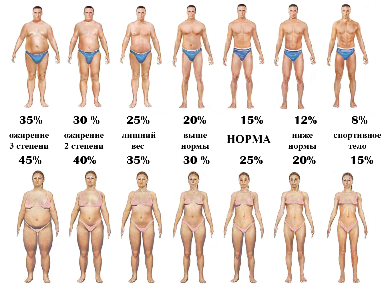 Что такое индекс массы тела или индекс жировой массы