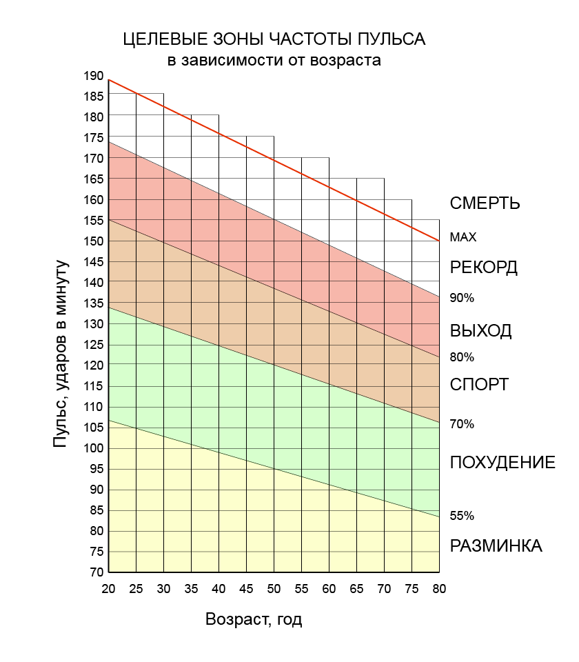 График частоты пульса в зависимости от возраста