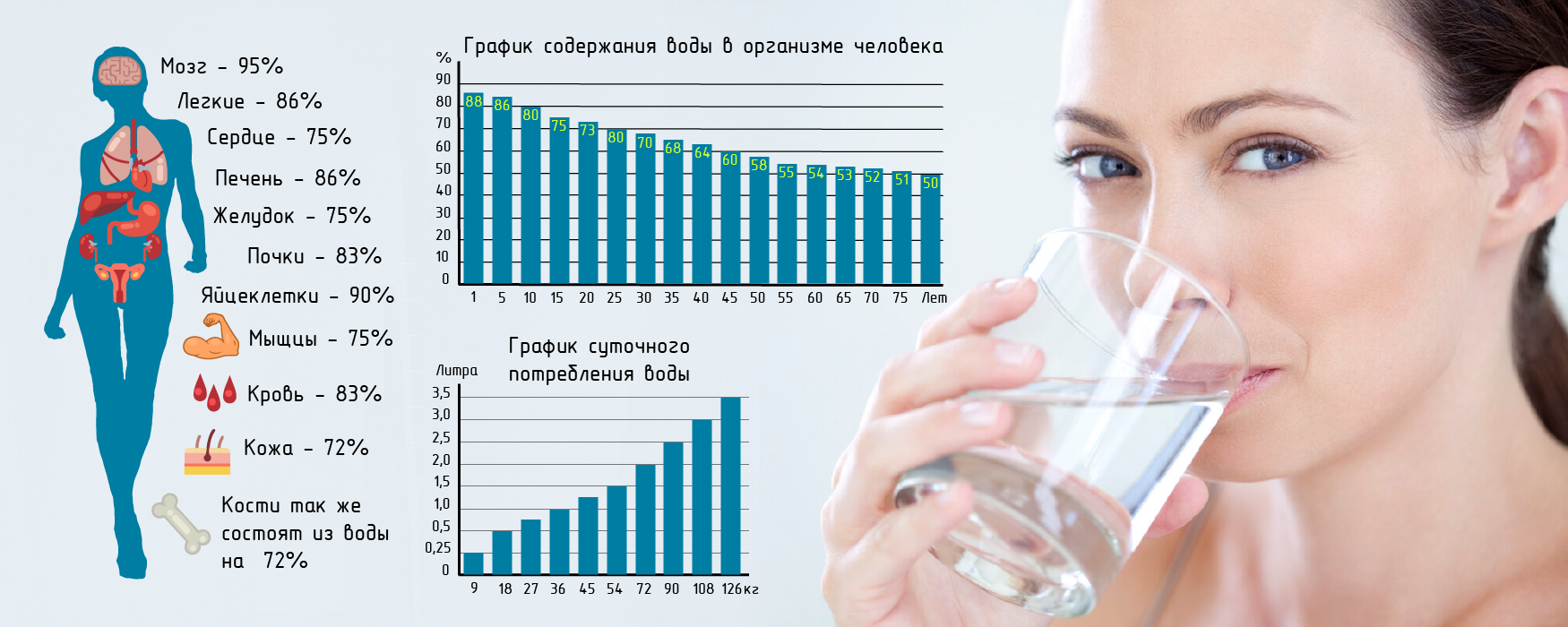 Процентное содержание воды в организме человека